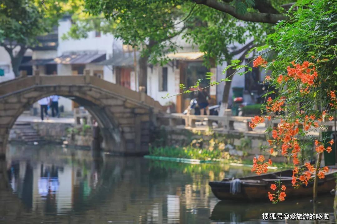 大学生就业难，是父母造成的吗？游戏画面